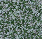 BAUMIT Mosaik M 321